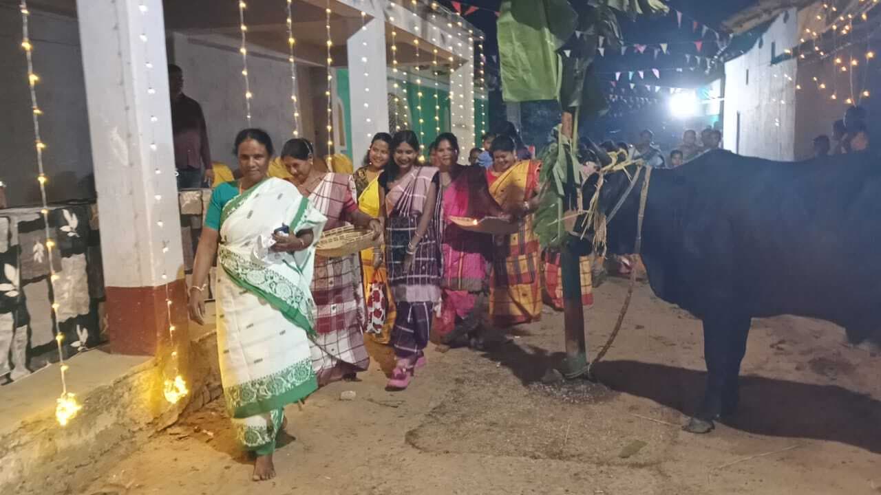Chaibasa News : पशुधन के प्रति आभार का उत्सव है सोहराय