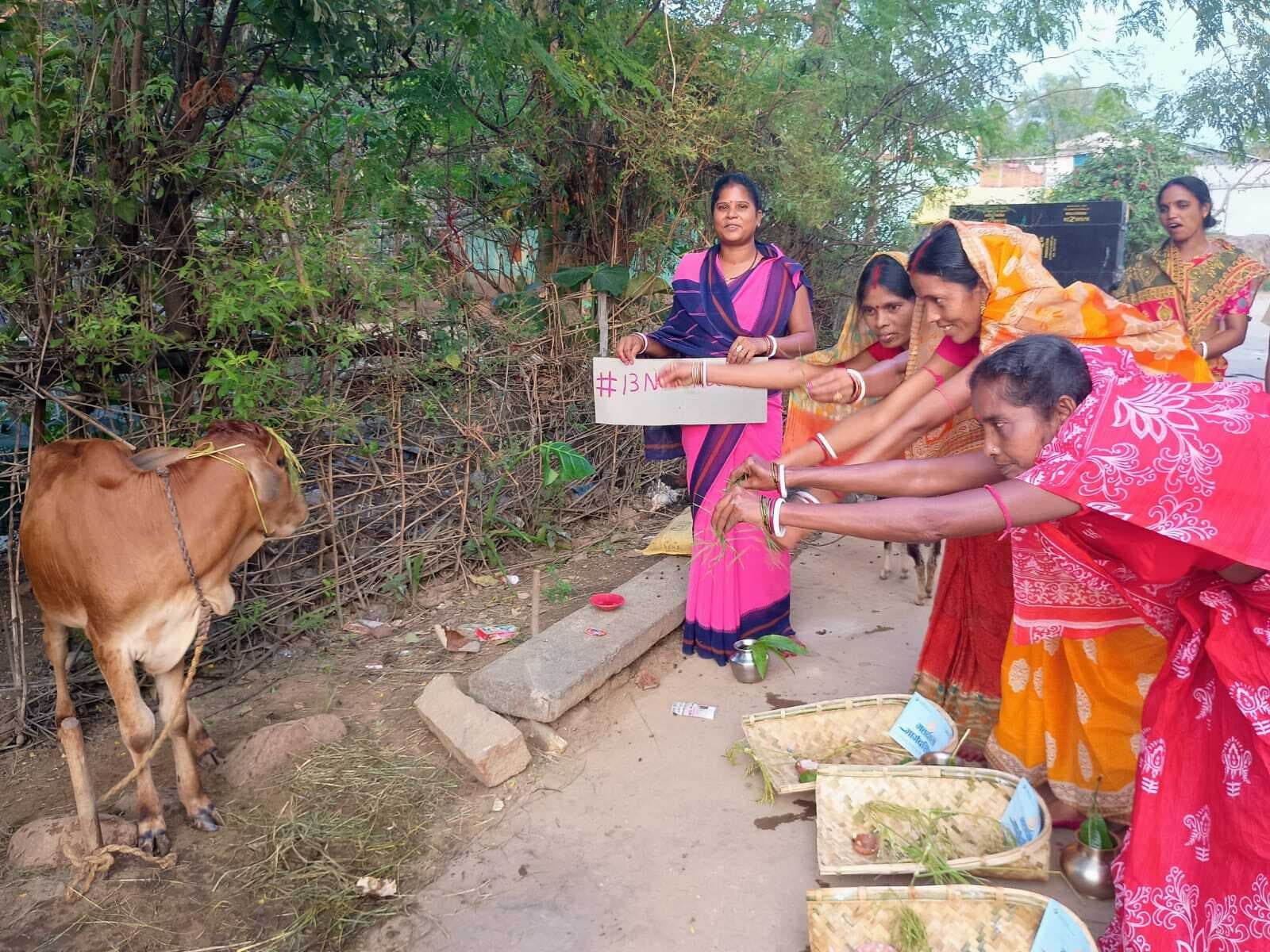 East Singhbhum News : महिलाओं ने पशुओं को चावल चुमाकर लिया आशीर्वाद