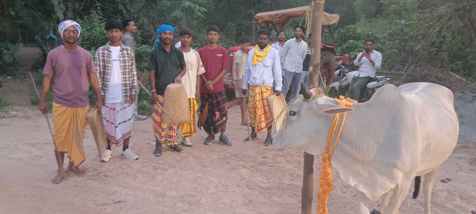 Dhanbad News: ढांगी, धोखरा व भूदा में बरदखूंटा की धूम