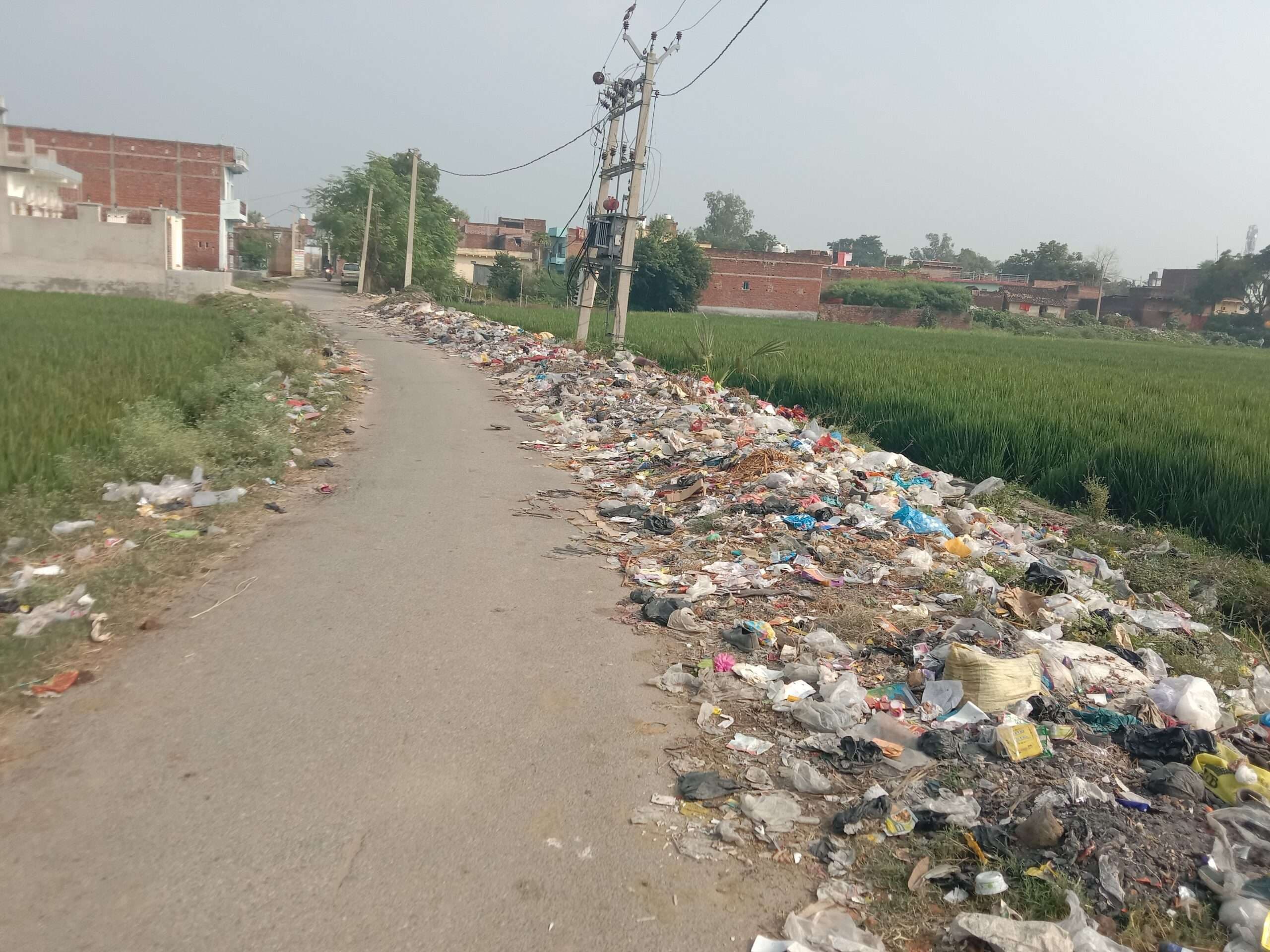 संझौली-सियरुआ पथ बना कचरे का डंपिंग प्लेस