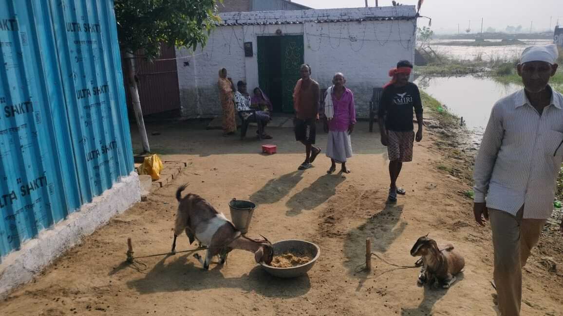 वृंदावन में एनएच किनारे से तीन गायों की चोरी, सीसी कैमरे में कैद हुई वारदात