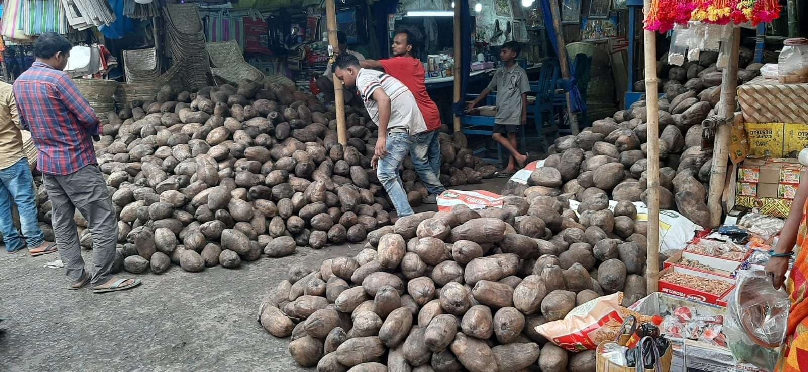 खुश्कीबाग से नेपाल समेत सीमांचल के बाजारों में भेजा जा रहा छठ का नारियल