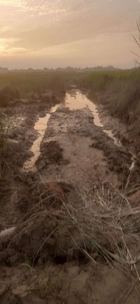 Sitamarhi : छठ घाटों की सफाई व सड़क मरम्मत में प्रशासन की रूचि नहीं, व्रती चिंतित