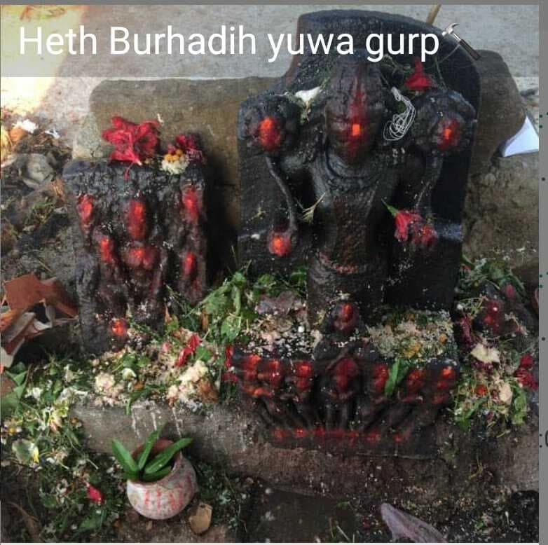 नीम के पेड़ नीचे सात घोड़े के साथ विराजमान हैं सूर्यदेव