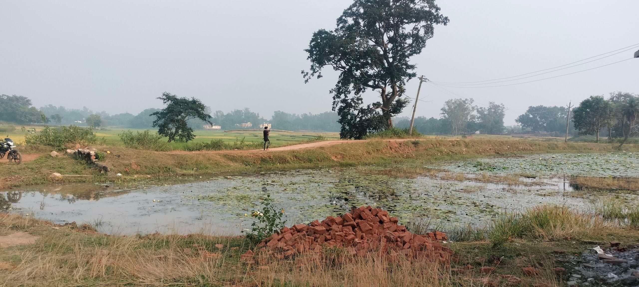 Giridih News :जनप्रतिनिधियों की उदासीनता से छठ घाटों में पसरी है गंदगी