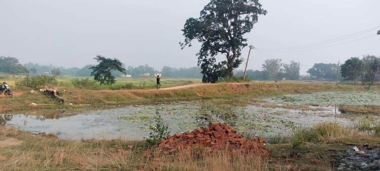 Giridih News :जनप्रतिनिधियों की उदासीनता से छठ घाटों में पसरी है गंदगी