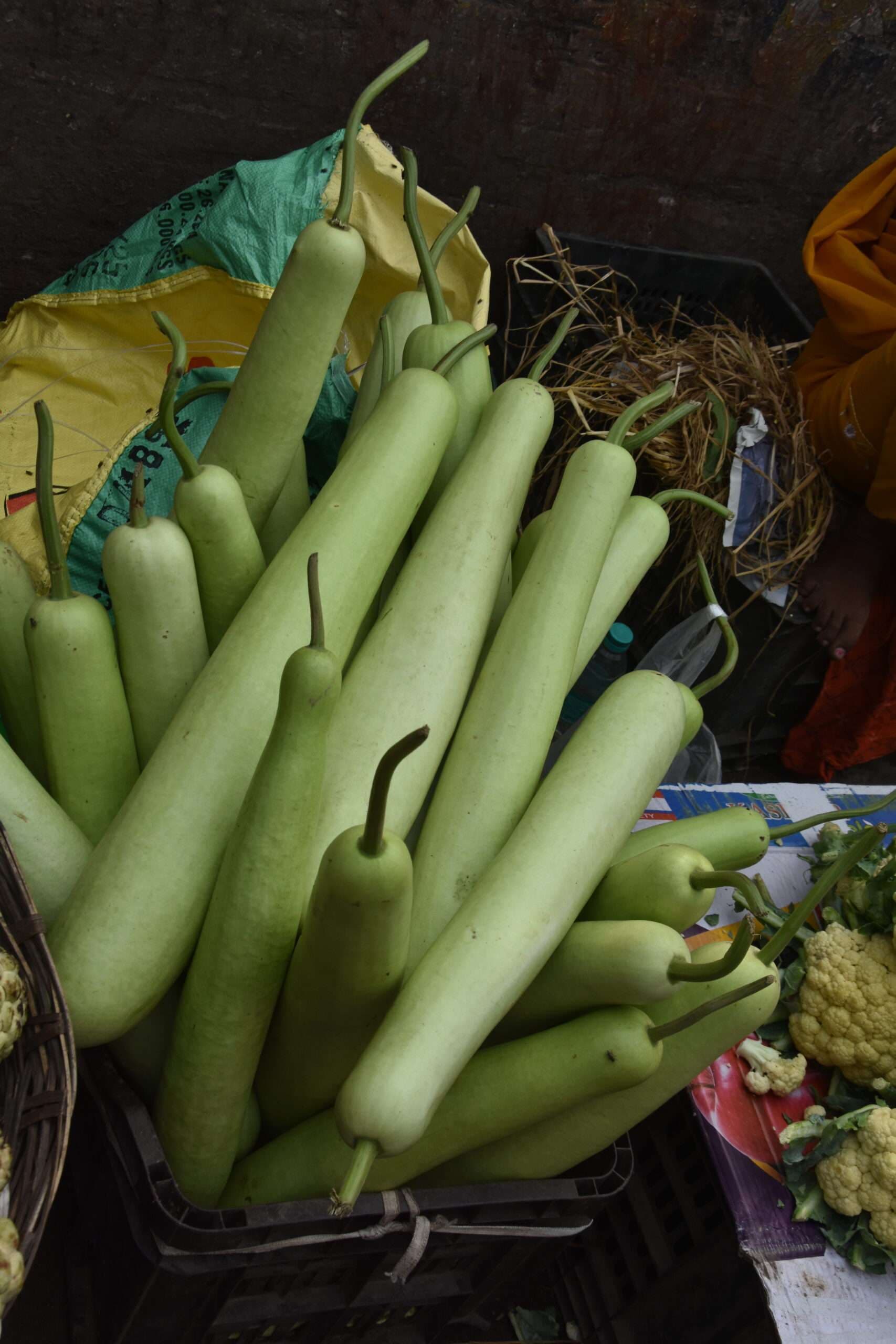 छठ को ले बढ़ी कद्दू की डिमांड तो रेट छूने लगे आसमान