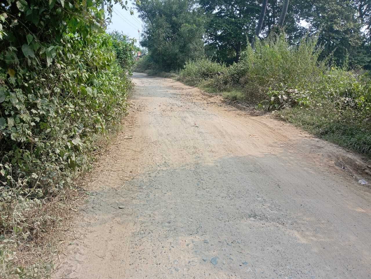 Deoghar news : रोहिणी से बिरनियां घाट पुल तक सड़क जर्जर, ग्रामीणों ने उठायी पक्कीकरण की मांग