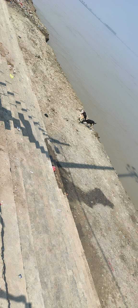 साहिबगंज के घाटों की स्थिति चिंताजनक