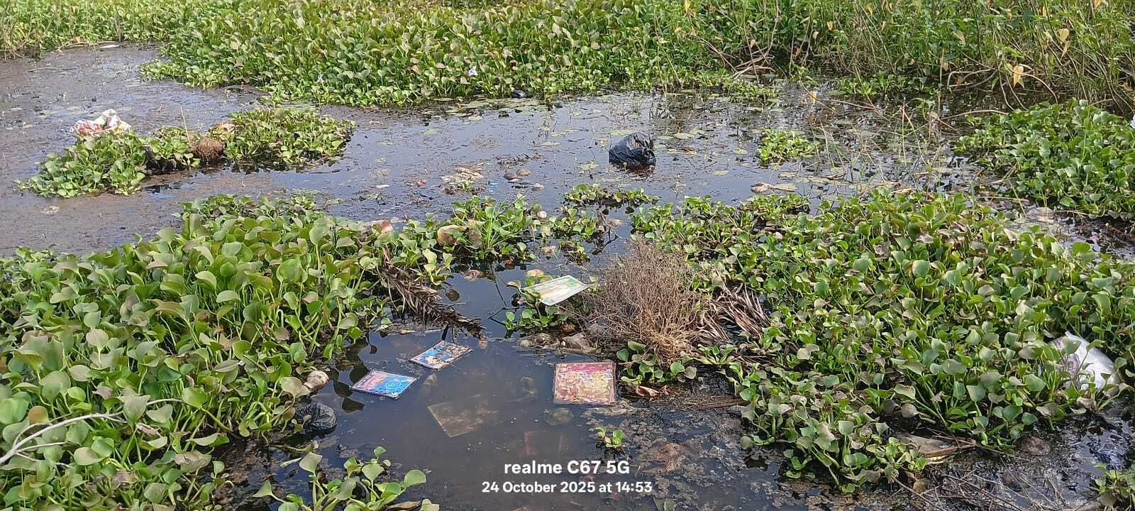 आज से छठ महापर्व शुरू, कई घाटों की नहीं हुई सफाई