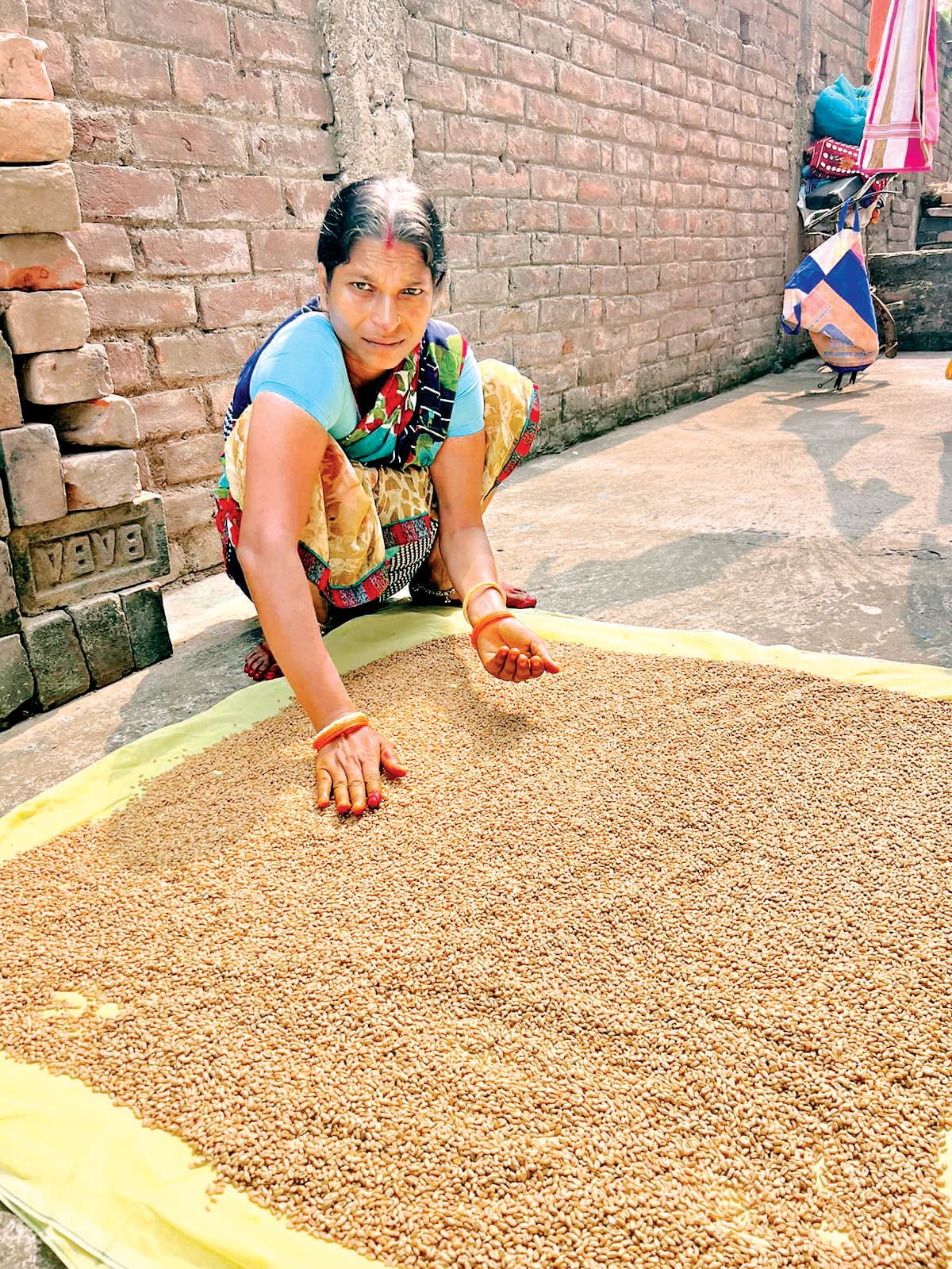 East Singhbhum News : महापर्व छठ को लेकर सूप-दाउरा व फलों से सजा बाजार, खरना आज