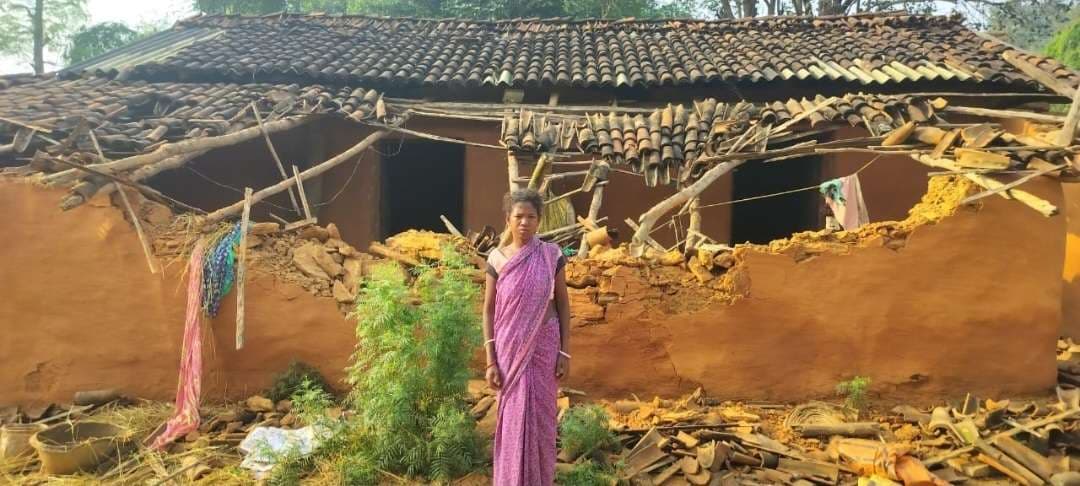 Chaibasa News : आनंदपुर में हाथियों का उत्पात चार घर तोड़े और फसल रौंदी