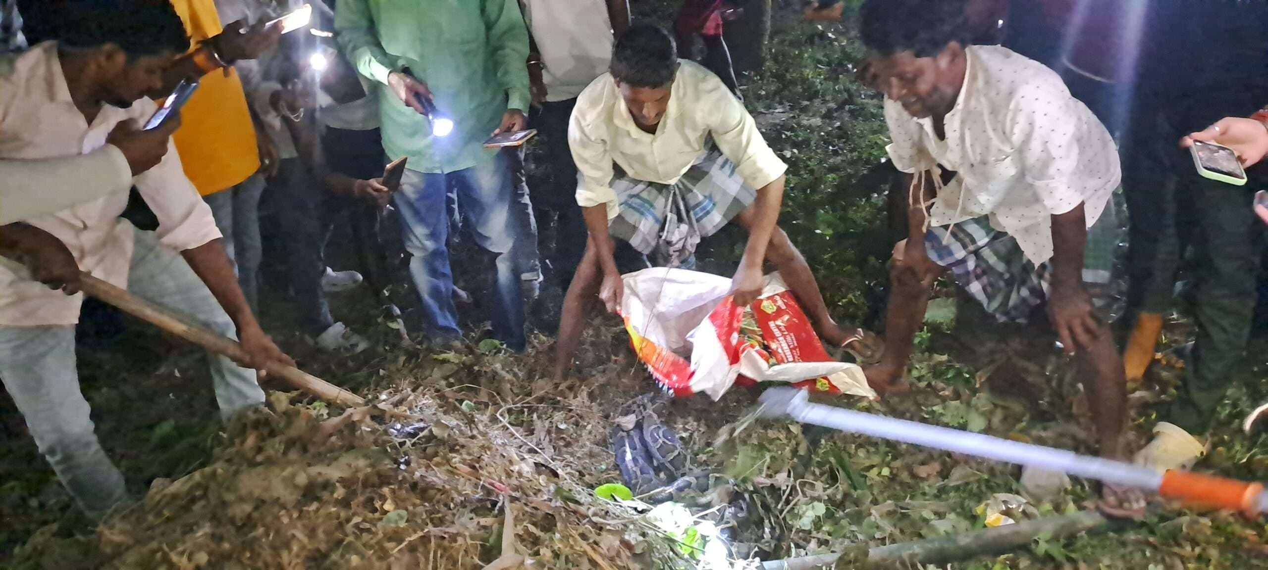 छठ घाट पर मिला अजगर सांप