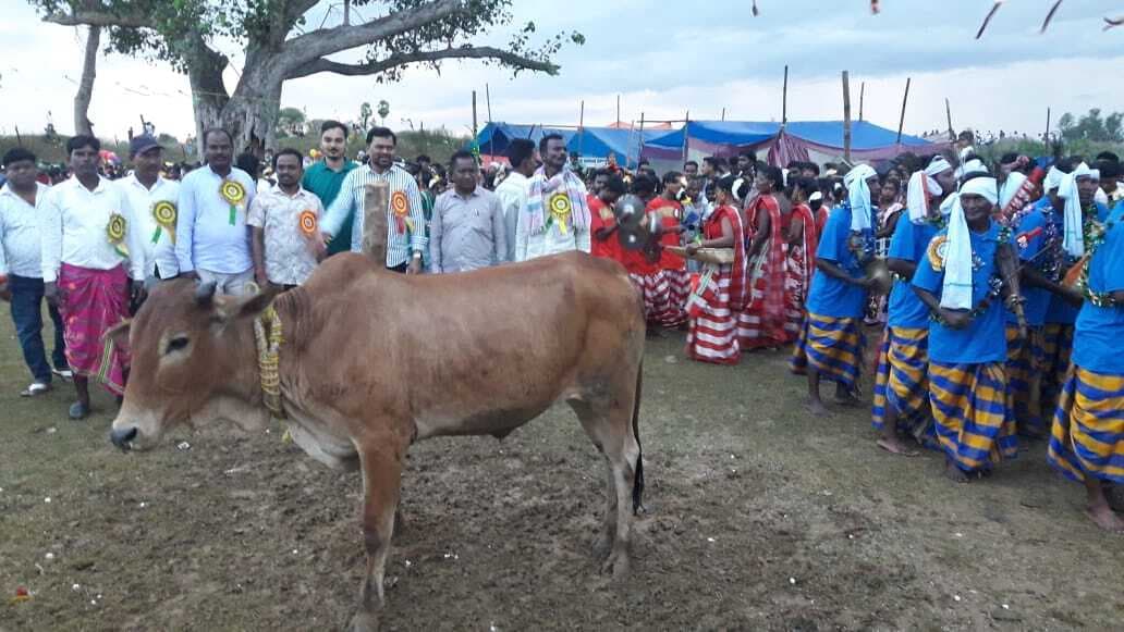 East Singhbhum News : आदिवासी समाज का कृषि से जुड़ा मुख्य पर्व है सोहराय : भरत सरदार