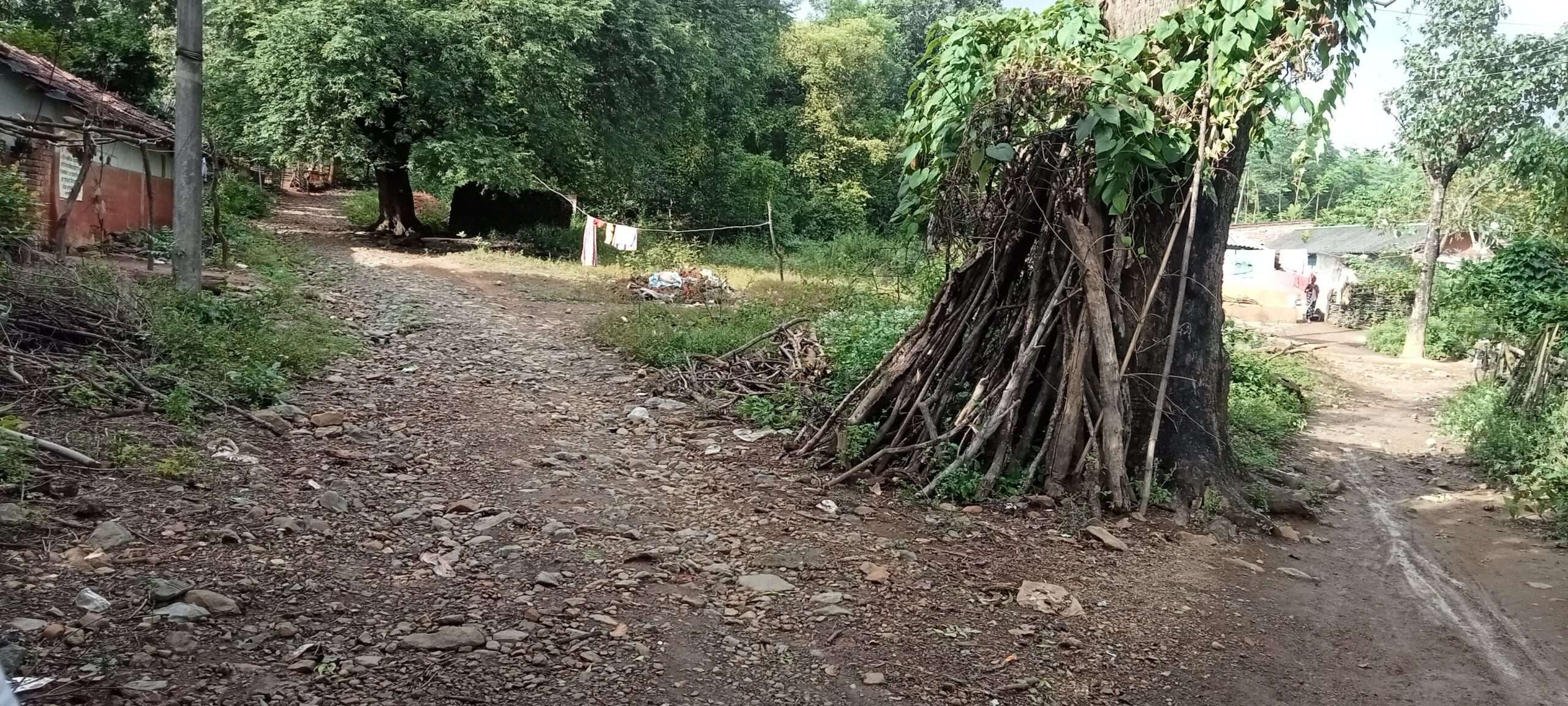 East Singhbhum News : आदिवासी बहुल सालडोहा गांव में आज तक नहीं बनी पक्की सड़क
