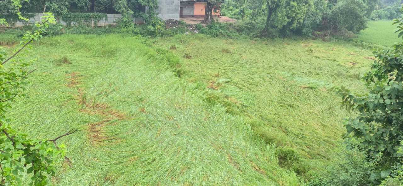 मोंथा साइक्लोन का दूसरे दिन भी रहा असर, बारिश व हवा से बढ़ी ठंड