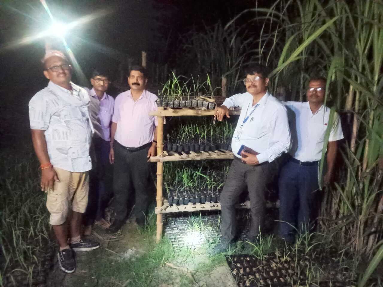 Samastipur : शरदकालीन गन्ना की खेती में अंतर्वर्ती फसलों की अपार संभावना : डॉ. बलवंत