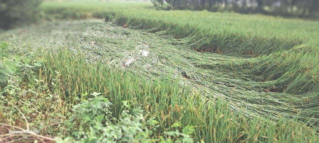 जिले में आज मोंथा तूफान बरपायेगा कहर