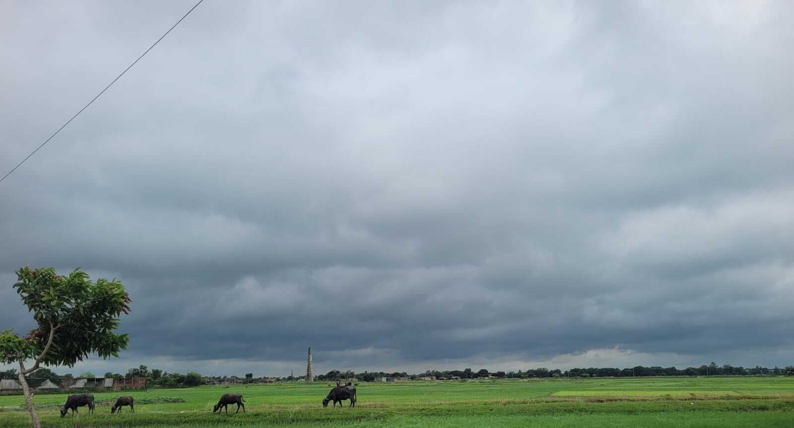 Madhubani News : मोंथा चक्रवात से बढ़ी ठंड, हुई बूंदाबांदी