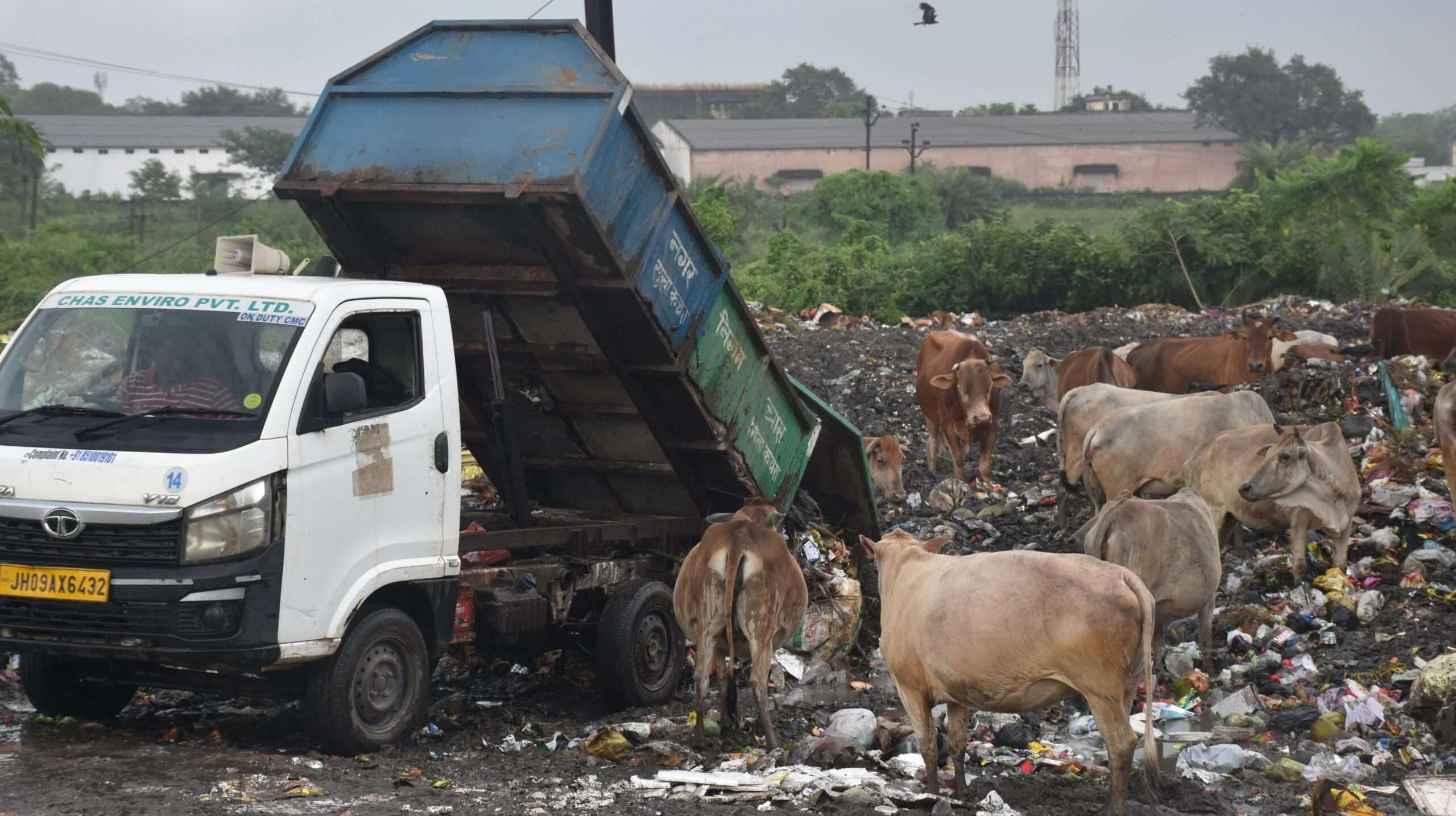 Bokaro News : नगर निगम प्रशासन आइटीआइ मोड़ के किनारे कर रहा कचरा डंप