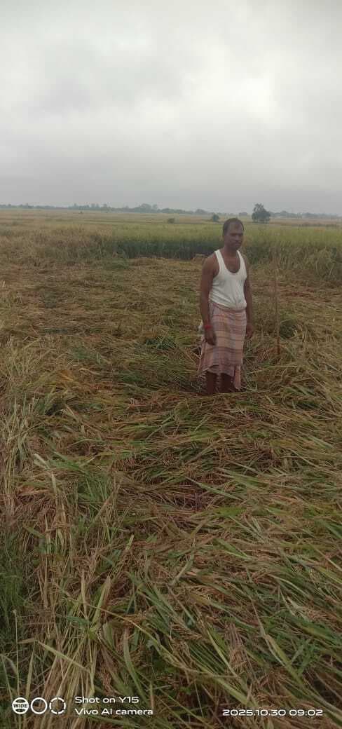 Giridih News :धान के खेतों में जमा हुआ पानी, किसान परेशान