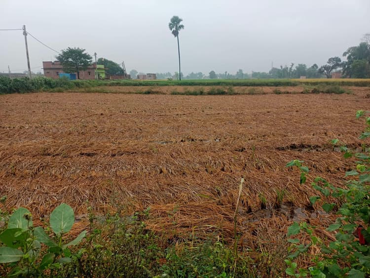 झमाझम बारिश से जलमग्न हुआ आरा शहर