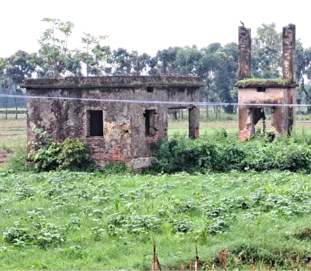 कोढ़ा के किसानों को नहीं मिल रही सिंचाई की सुविधा