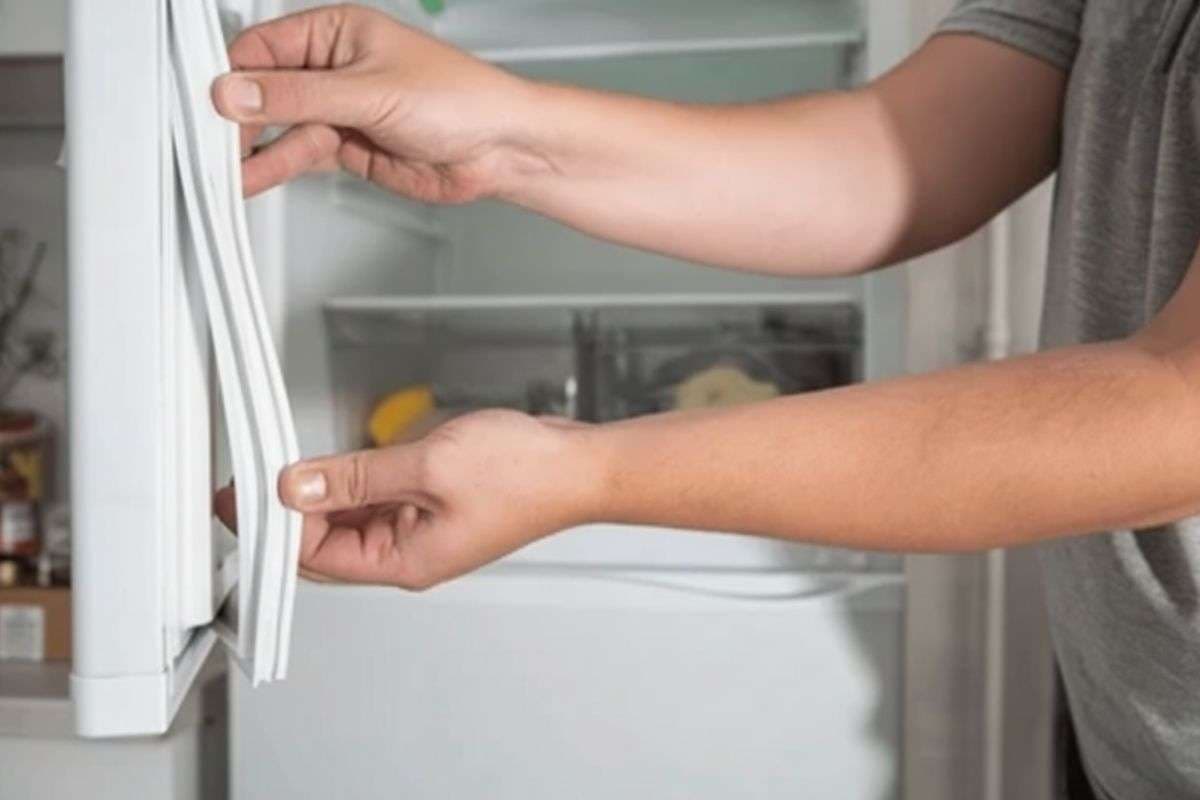 Fridge Tips: फ्रिज के दरवाजे पर लगी रबर सील हो गई है ढीली? जानें मिनटों में टाइट करने का आसान तरीका