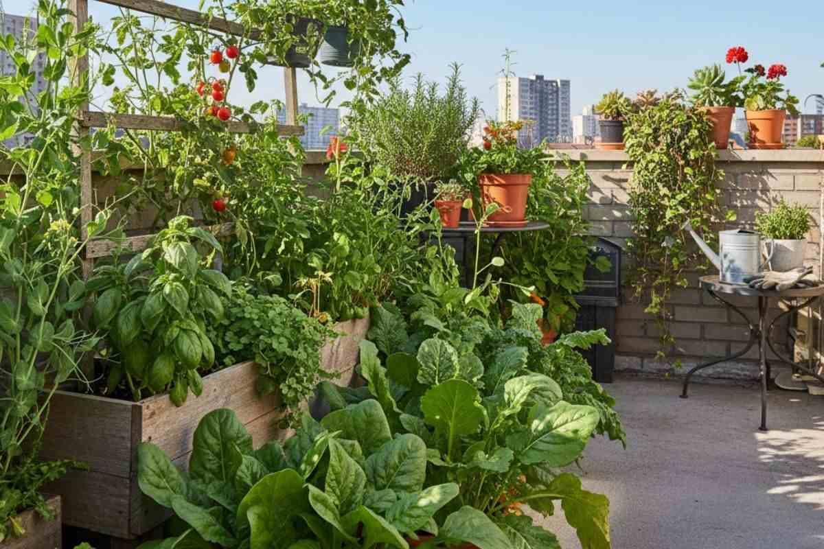 ठंड के मौसम में घर की छत या बालकनी पर गमले में उगाएं ये हरी पत्तेदार सब्जियां