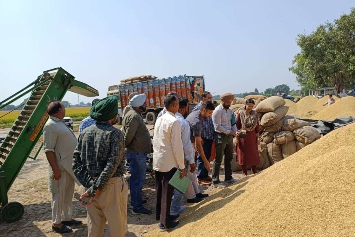 UP News: योगी सरकार की नीतियों पर किसानों का भरोसा, धान खरीद में दिखा उत्साह