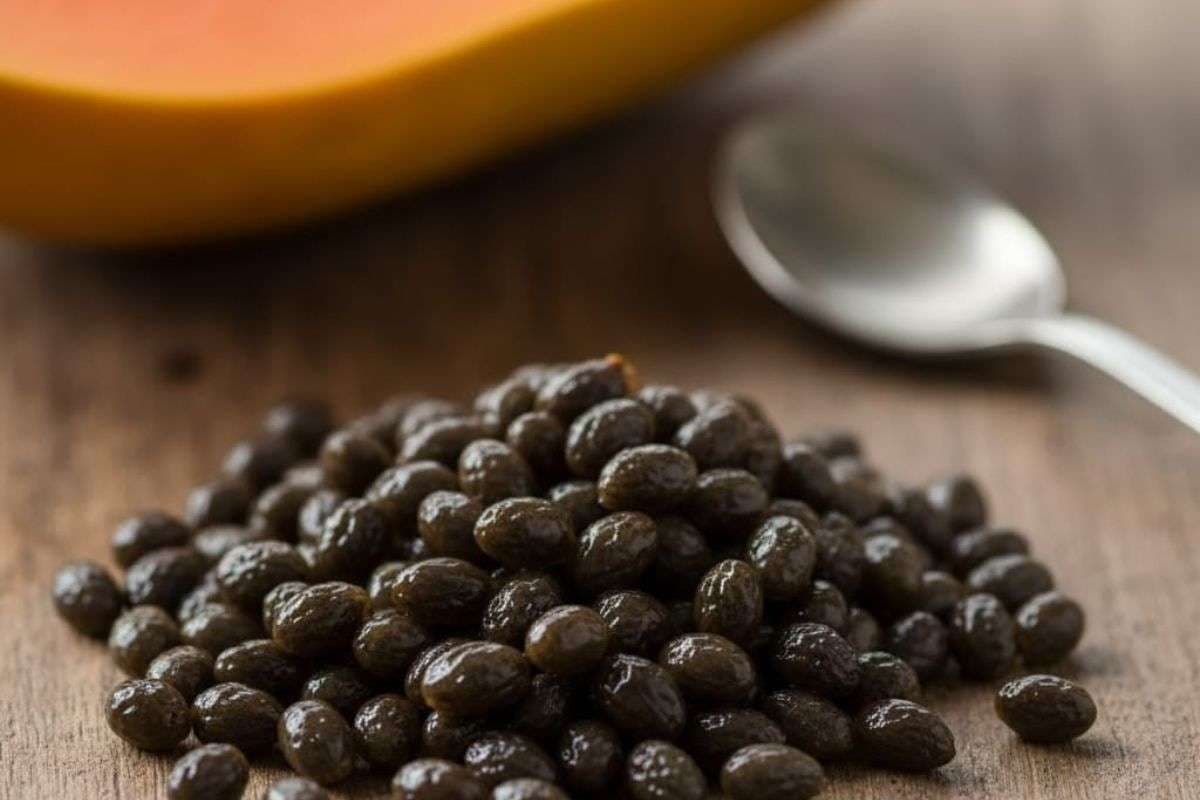 papaya seed