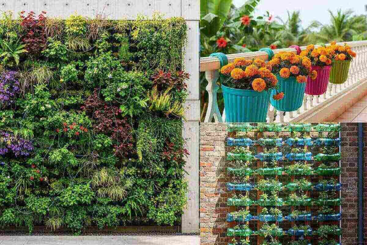 Vertical Gardening Tips: पौधे लगाने में जगह पड़ रही है कम, तो वर्टिकल गार्डनिंग से छत की दीवारों को बनाएं मिनी गार्डन