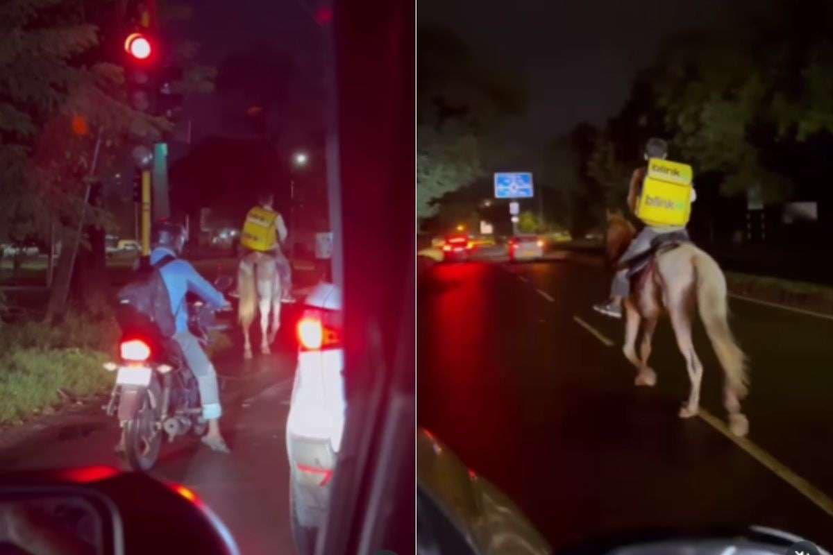 Viral Video: बाइक-स्कूटर छोड़ बंदे ने घोड़े पर सवारी करते हुए शुरू की डिलीवरी सर्विस, देखें वीडियो