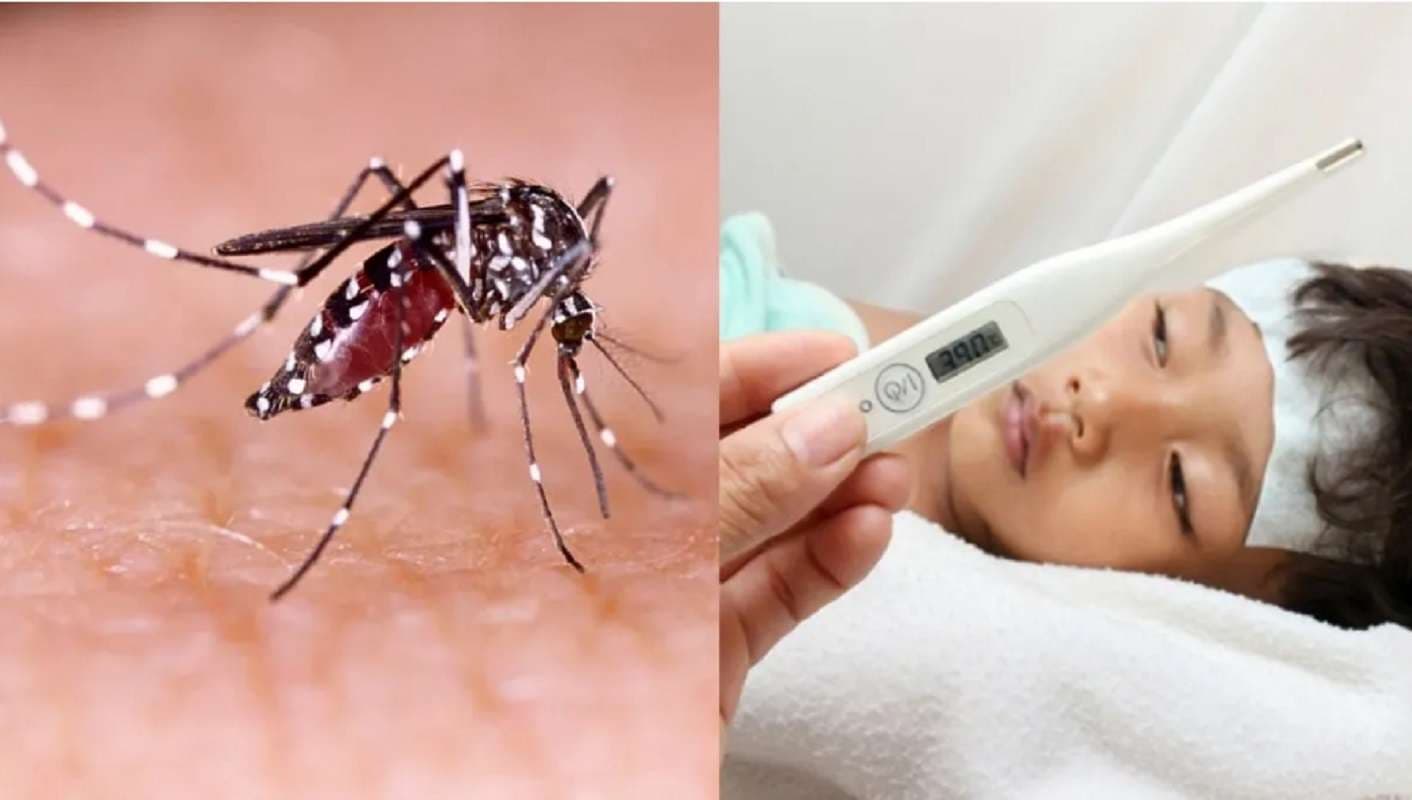 Bihar News: मुजफ्फरपुर में डेंगू का प्रकोप बेकाबू, अब तक मिले 107 मरीज