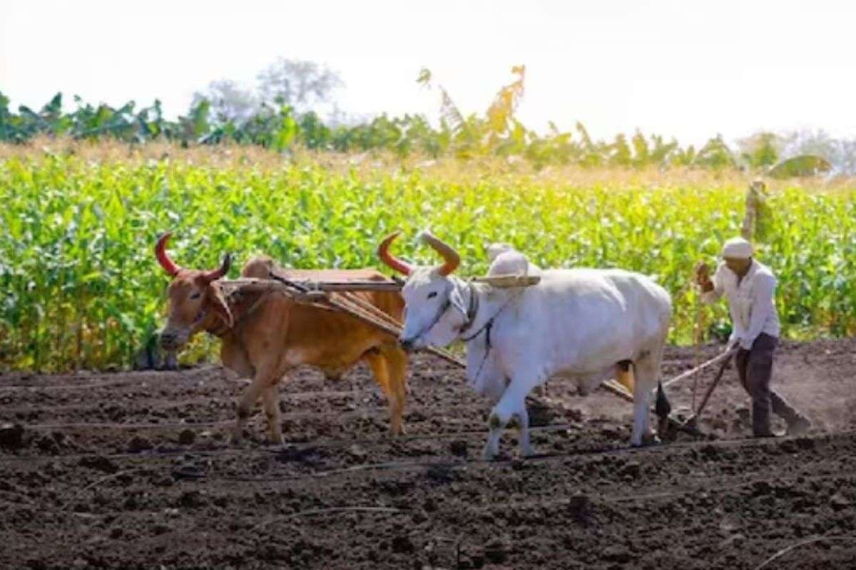 Bihar News: बिहार के किसानों के लिये बड़ी खुशखबरी, सरकार ने दे दी ये बड़ी राहत