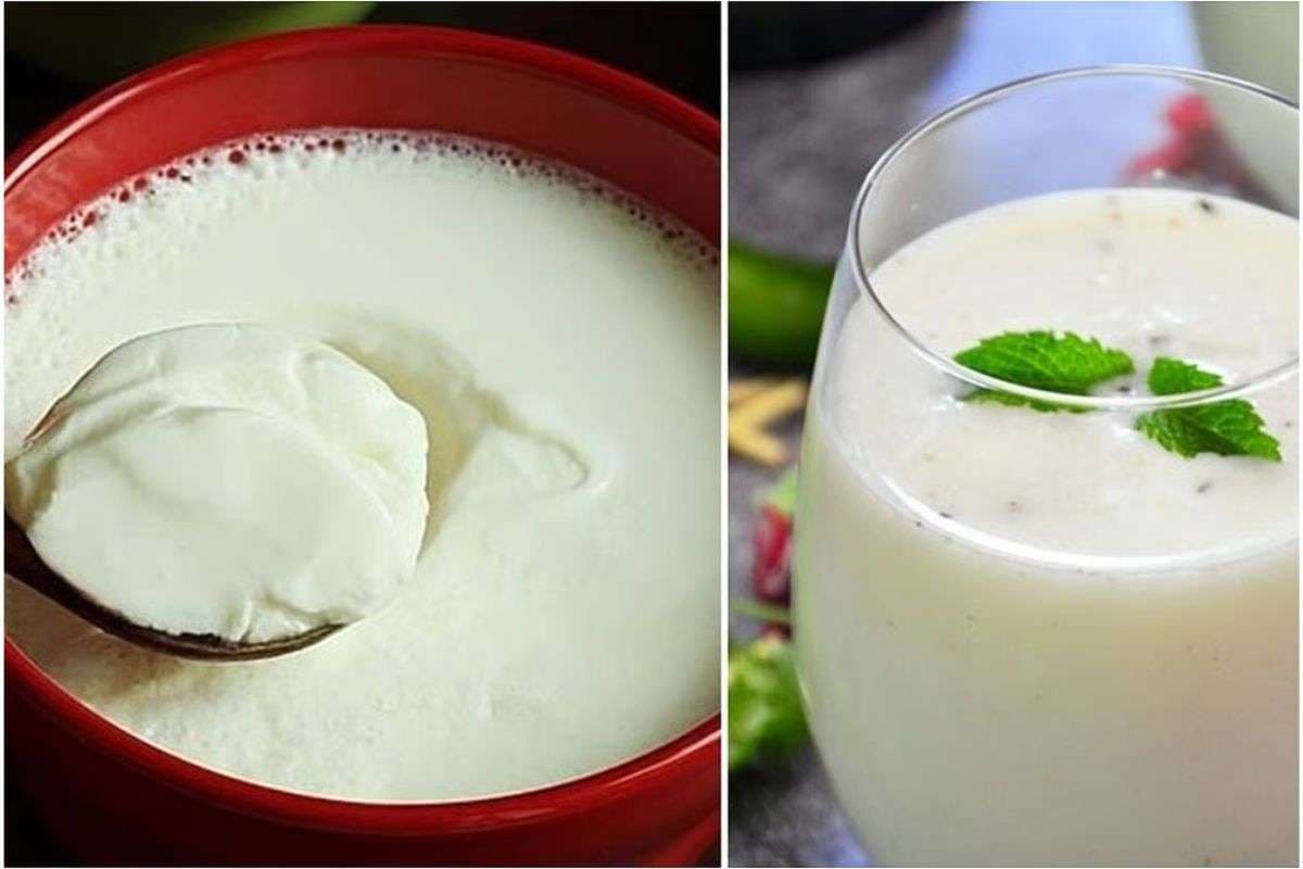 Curd vs Milk For Hair: कच्चा दूध या दही, स्कैल्प क्लीनिंग और बालों के लिए कौन सा है बेस्ट