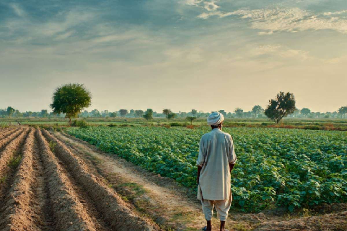 Ek Gaon Ek Fasal Yojana : क्या है एक गांव-एक फसल योजना? 100 गांव होंगे चयनित