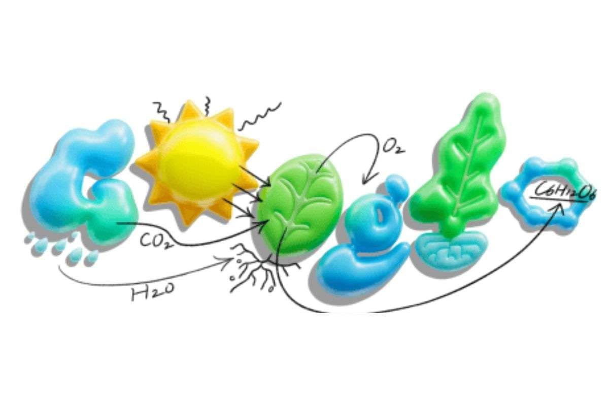 Photosynthesis पर Google का क्रिएटिव Doodle, CO₂ से लेकर ग्लूकोज तक की बता रहा पूरी कहानी
