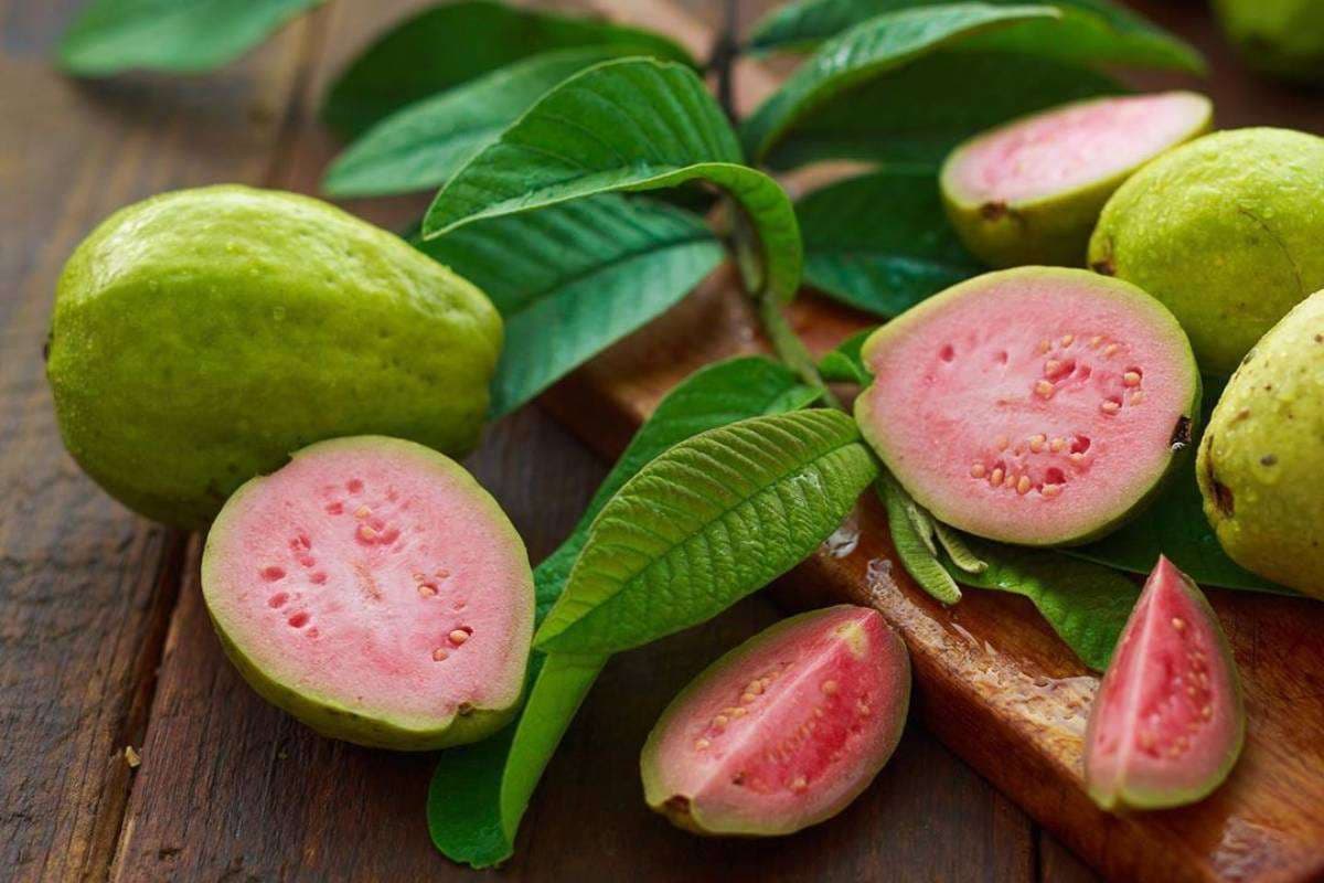 Amrood - Guava 