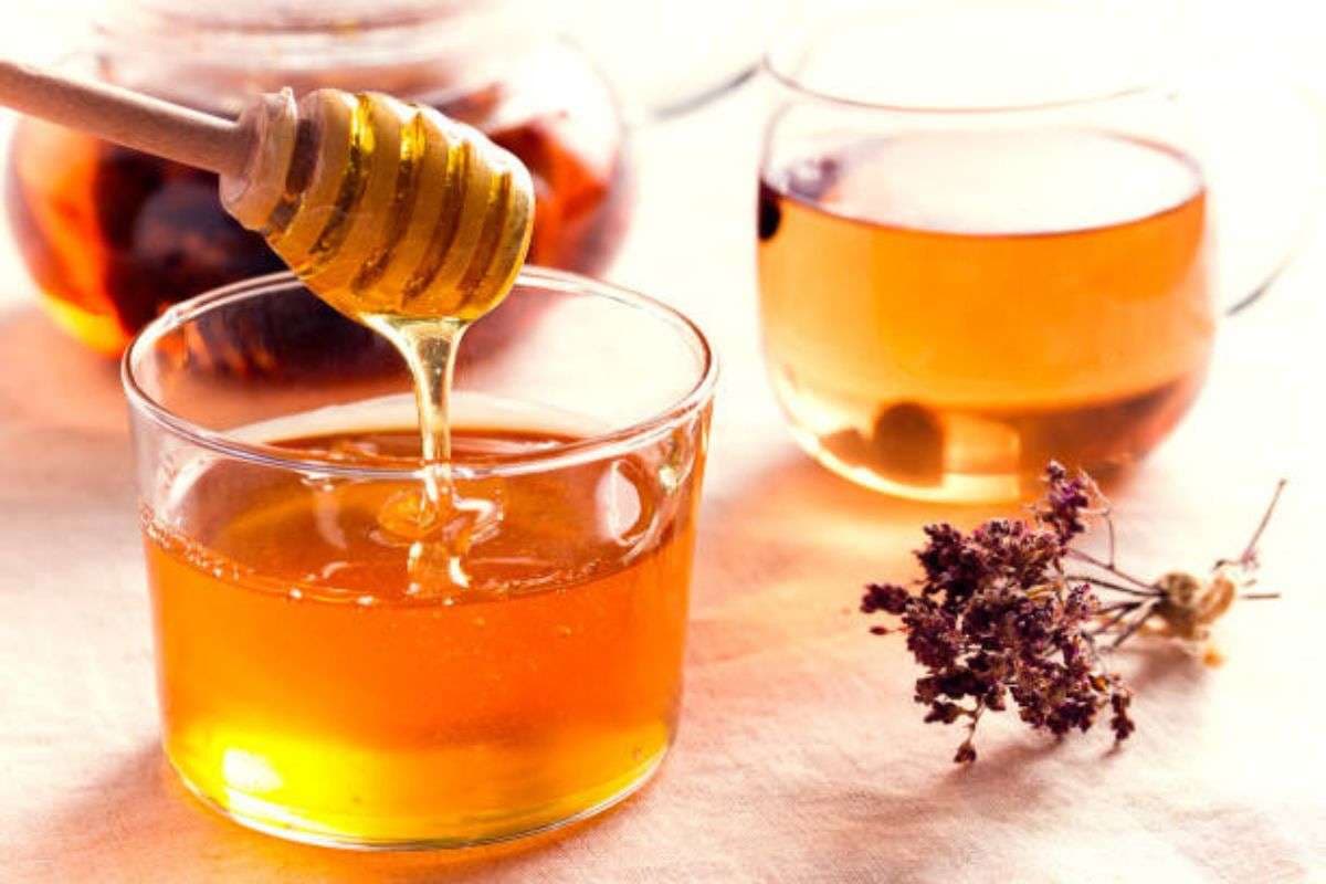 Honey Benefits: कई बीमारियों का इलाज है शहद, डाइट में शामिल करने से मिलेंगे चौंकाने वाले फायदे