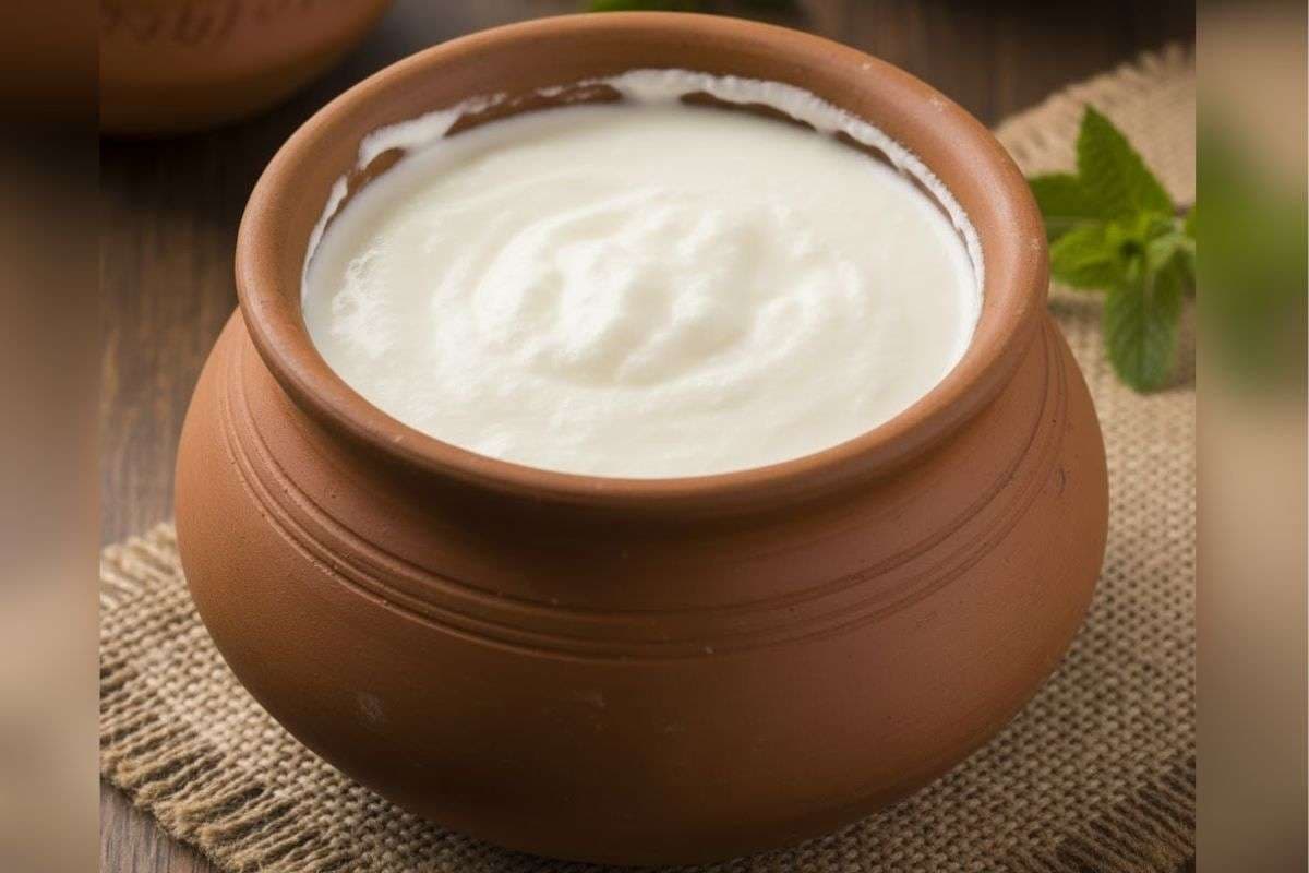 How To Make Perfect Curd In Winter: सर्दियों में भी घर पर जमाएं बिल्कुल गाढ़ी दही, यहां देखें कुछ आसान टिप्स और ट्रिक्स