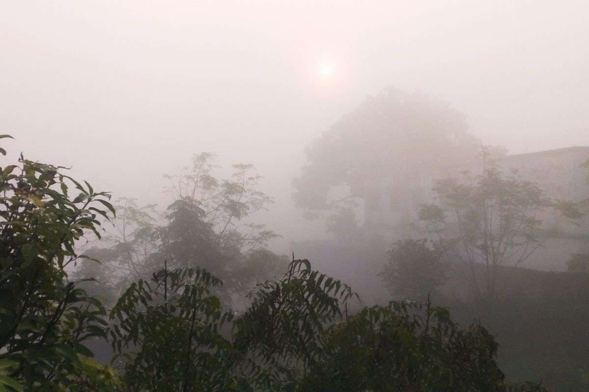 झारखंड को झेलनी होगी कोहरे और धुंध की मार, आज ही जान लें अगले 5 दिन कैसा रहेगा रांची का मौसम