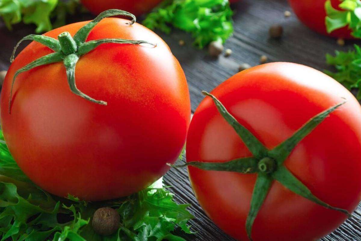 Tomato Storage Tips: