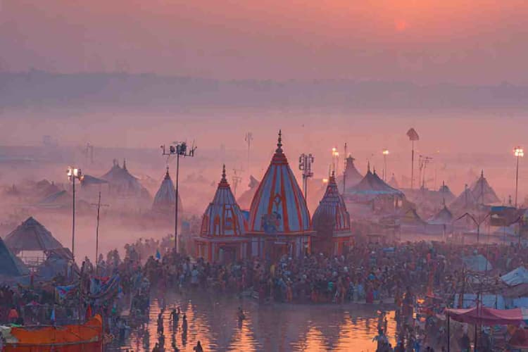 Nashik Kumbh Mela : नासिक में कुंभ मेले के लिए क्या होगी पेड़ों की कटाई? लोग करने लगे विरोध