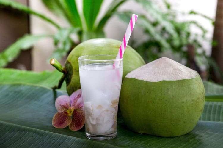 Coconut Water Side Effects: किन लोगों को नहीं करना चाहिए नारियल पानी का सेवन, इन बीमारियों का बढ़ जाता है खतरा