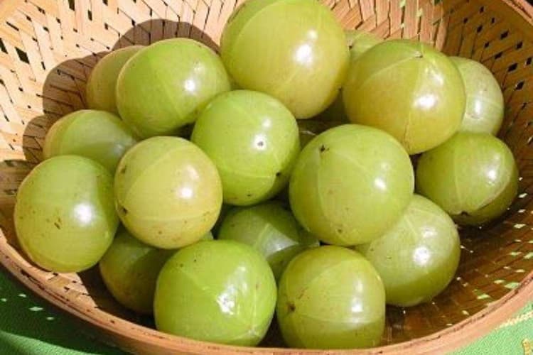 Amla Storage Tips: आंवला स्टोर करने के आसान तरीके - महीनों तक रहेगा हरा और ताजा, नहीं पड़ेगा एक भी दाग