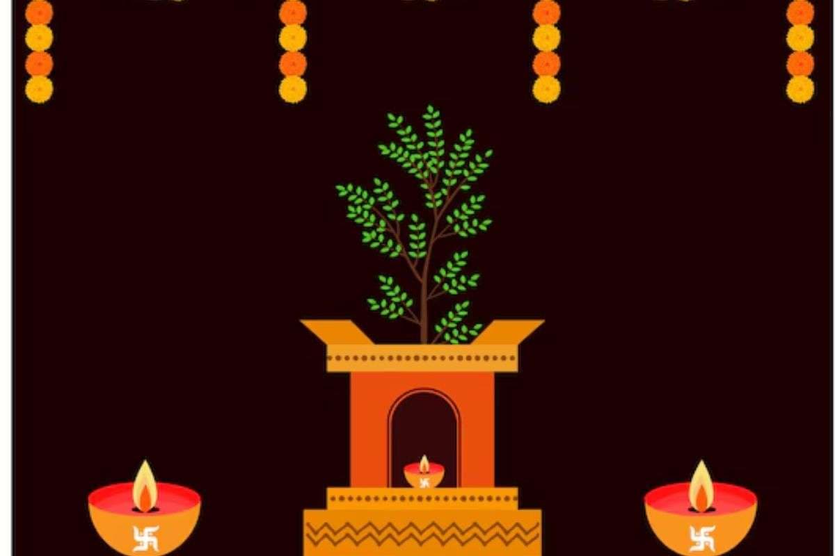 Tulsi Vivah Puja Samagri List: तुलसी विवाह में इन पूजन सामग्रियों की होगी जरूरत, देखें लिस्ट