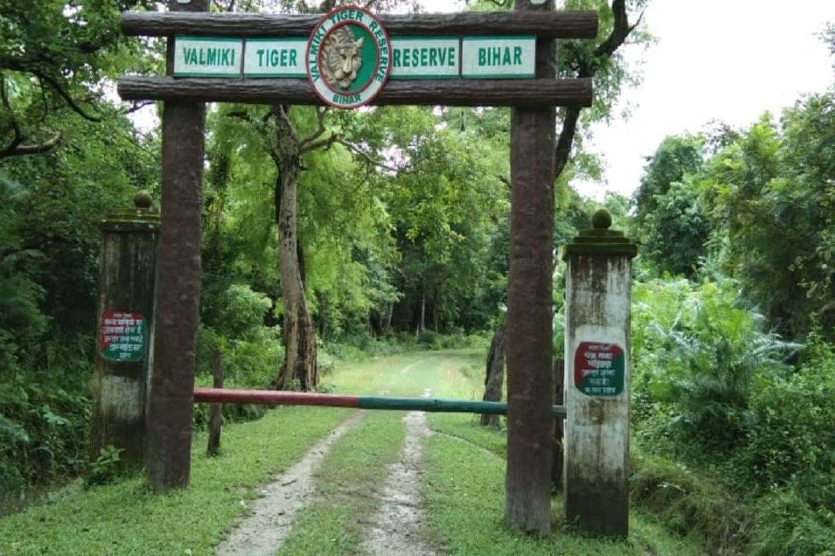 बिहार में बाघ को करीब से देखने का मिलेगा मौका, रात में कर सकेंगे कैम्प, लग्जरी से लैस होगा VTR 