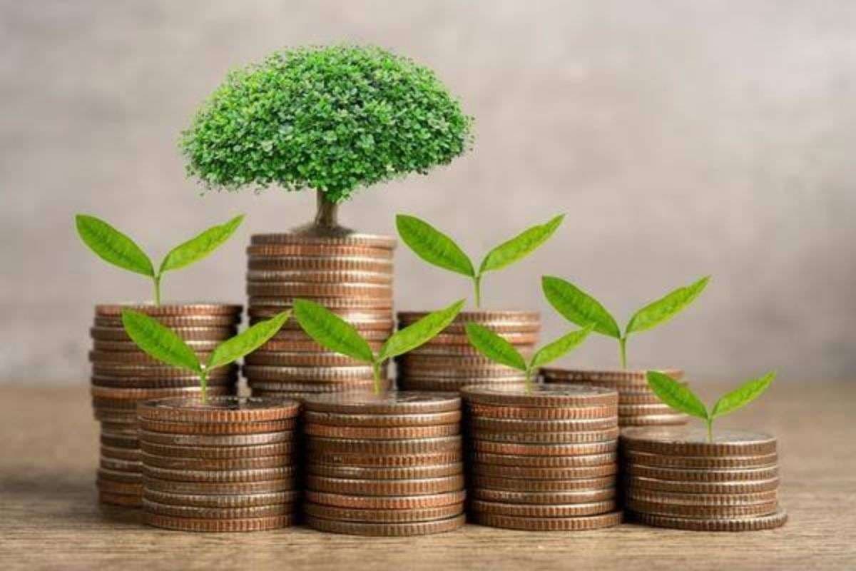 Vastu Tips For Money: इन 5 चीजों को घर में रखने से खुलेंगे धन के मार्ग, मिलेगी तरक्की