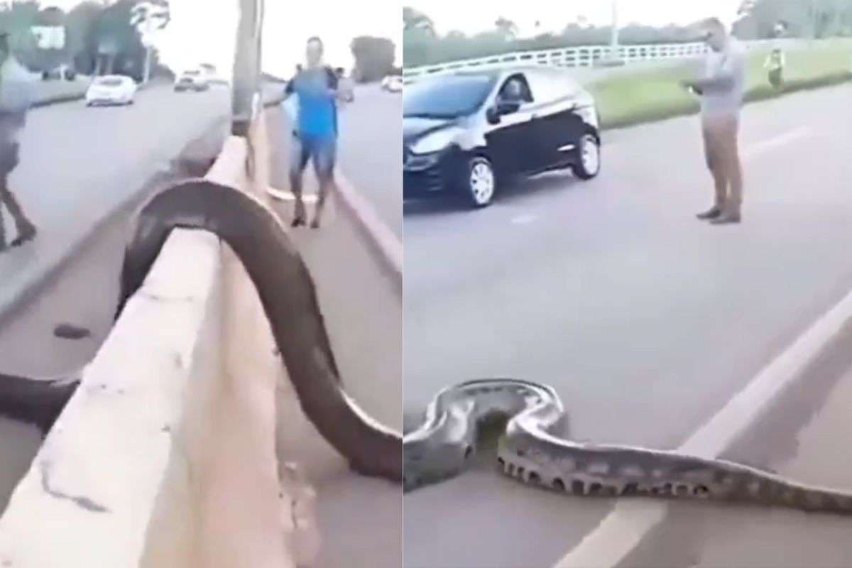 Viral Video Viral Video